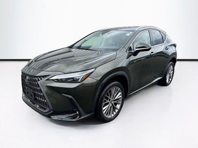 2023 Lexus NX 350h Premium