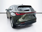 2023 Lexus NX 350h Premium