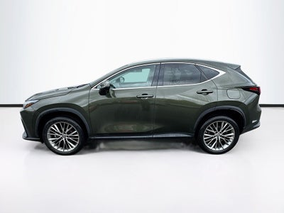 2023 Lexus NX 350h Premium