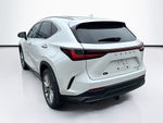 2024 Lexus NX 350h Luxury