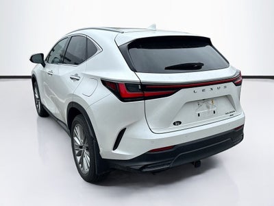 2024 Lexus NX 350h Luxury