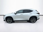 2024 Lexus NX 350h Luxury