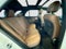 2024 Mercedes-Benz GLE GLE 350 4MATIC®