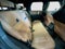 2026 MINI COUNTRYMAN S