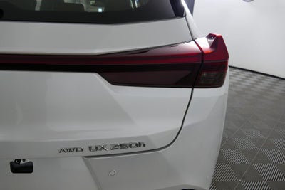 2023 Lexus UX 250h Premium