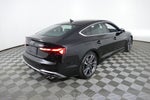 2025 Audi S5 Sportback Premium Plus quattro