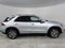 2020 Mercedes-Benz GLE GLE 350
