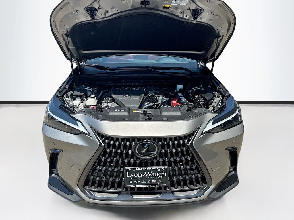 2024 Lexus NX 350 Premium